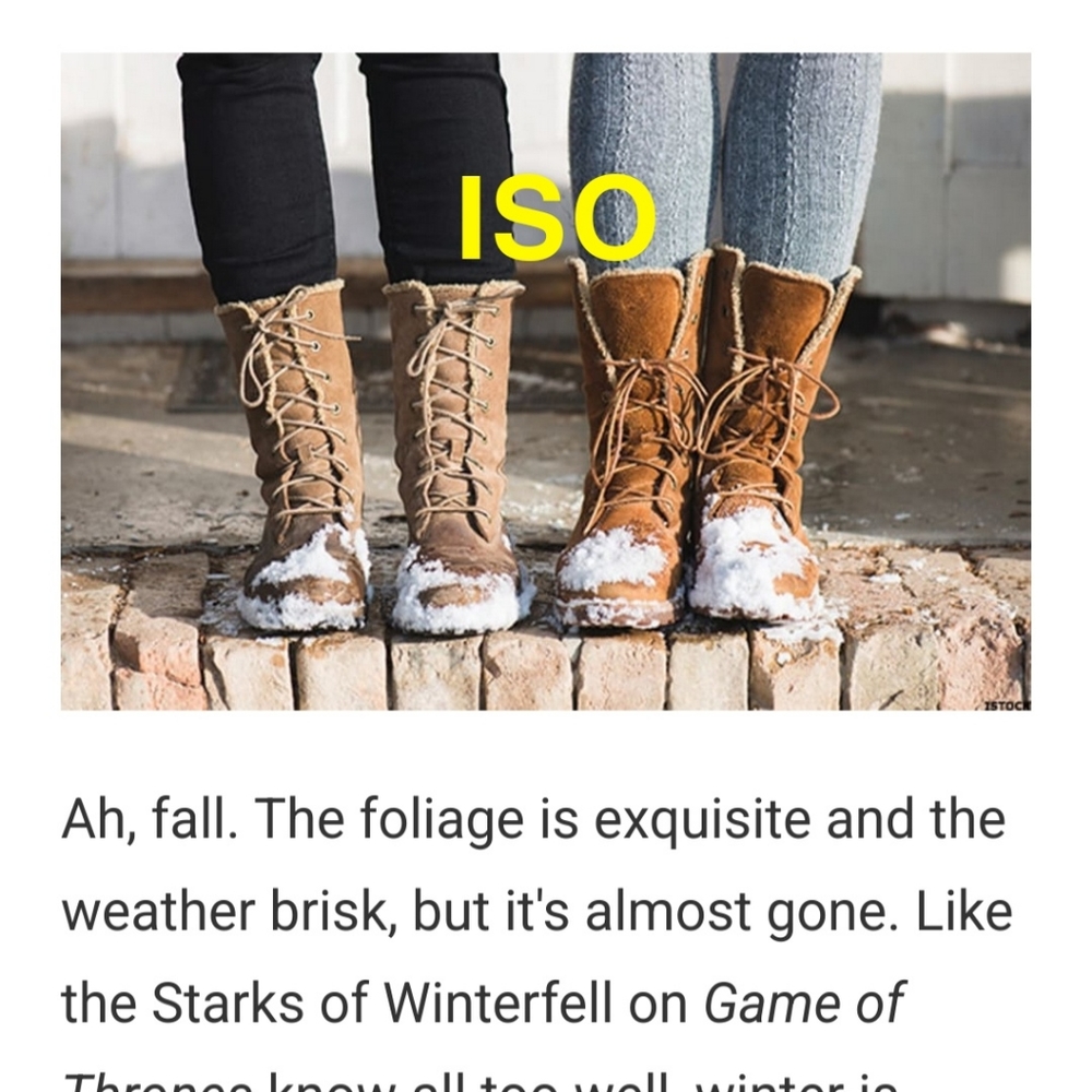 ISO winter boots